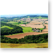 The Herefordshire Countryside